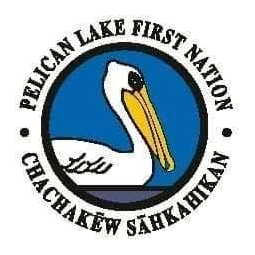 PLFN logo